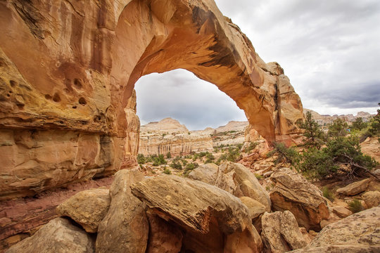 Spectacular view to Hickman Natural Bridge in Capitol reef National park in Utah, USA