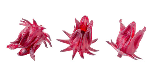 Roselle Hibiscus sabdariffa red fruit flower on white background
