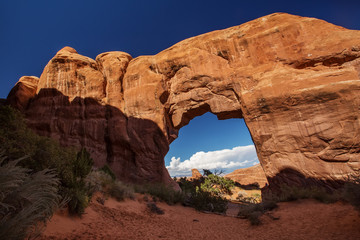 Pine Tree arch in Arches National Park in Utah, USA