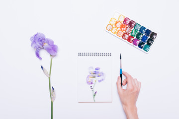 Girl painted a blue flower in a notebook with watercolors