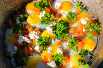 Eggs of filed eggs