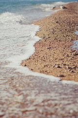 Sea foam on the sand. lifestyle contact pedigree ancestry