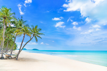 Beautiful tropical beach with coconut palm tree in blue sky background.