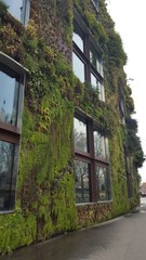 green, natural building, only in Paris 