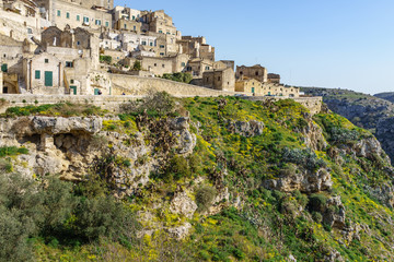 Fototapeta na wymiar The ancient ghost town of Matera (Sassi di Matera) in beautiful yellow flower in daylight, southern Italy