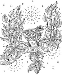 Red-billed fincher bird coloring page