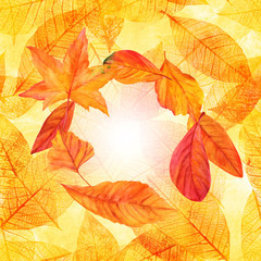 Autumn watercolor design template with vibrant fall leaves