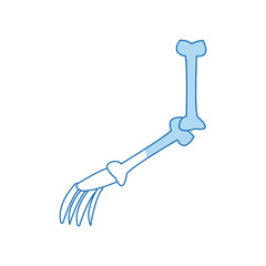 cartoon arm bone human part image vector illustration