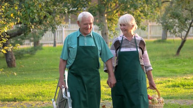 Happy senior couple holding hands. Gardeners in aprons. Part time jobs for seniors.