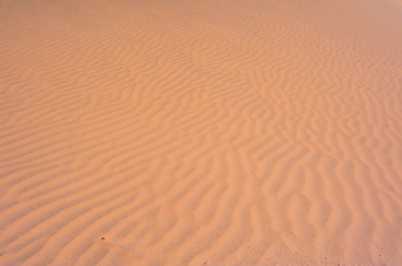 The texture of the sand. Sandy background