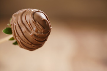 chocolate covered strawberry on wood stick