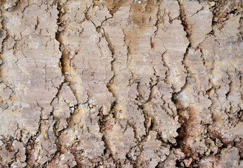 Natural background. Texture of brown fresh cut and leveled ground.