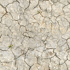 Seamless texture of dry desert land with cracks.