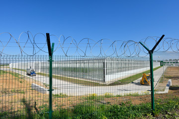 Large greenhouse for growing cucumbers in barbed wire