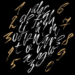 Hand drawn dry brush font. Modern brush lettering. Grunge style alphabet. Vector illustration.