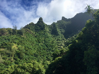 Fototapeta na wymiar Kalalau Hiking trail on the Hawaiian island of Kauai