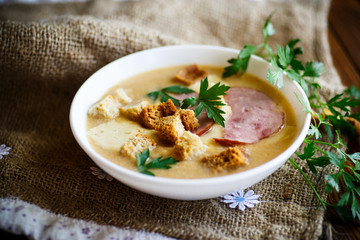 Vegetable soup puree with cheese, bacon