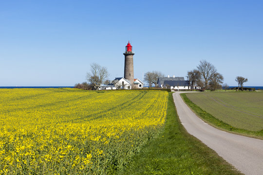 Road To Lighthouse At The Kattegat Near Grenaa