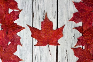 Naklejka na ściany i meble Canadian flag made of red maple leaves over a weathered white wood background
