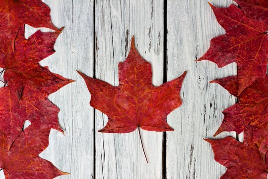 Canadian flag made of red maple leaves over a weathered white wood background