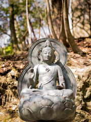 Buddha Statue