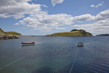 fishing boats in tors cove, newfoundland © Rusty