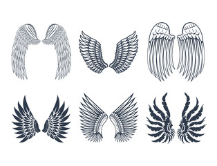 Fototapeta na wymiar Wings isolated animal feather pinion bird freedom flight natural peace design vector illustration.