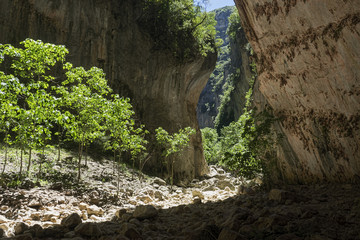 la garganta verde en el parque natural de Grazalema, Andalucía