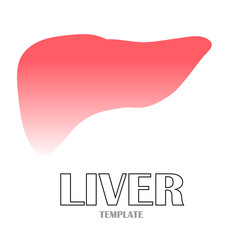 Linear stylized drawing of liver