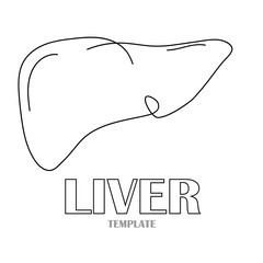 Linear stylized drawing of liver