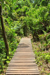 Obraz premium Wood bridge