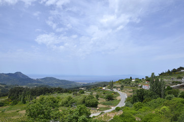 Fototapeta na wymiar Village de Platanos (Samos)
