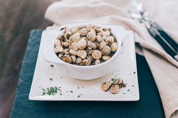 Snails, delicious french or spanish delicatessen, traditional cuisine of France, Spain. Tapas, appetizer, gourmet, food still life