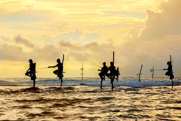 Fototapeta premium Traditional fishermen on sticks at the sunset in Sri Lanka.