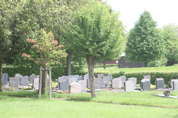 Friedhof auf dem Lande