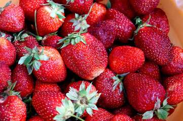 Scattering of dark red strawberry