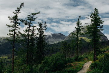 Mountains and lake, vintage filter