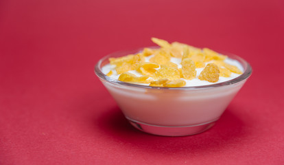 Cereals in milk. Cereals in yogurt. Cereals in bowl on red background. 