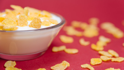 Cereals in milk. Cereals in yogurt. Cereals in bowl on red background. 