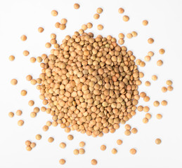 raw lentils on white, top view