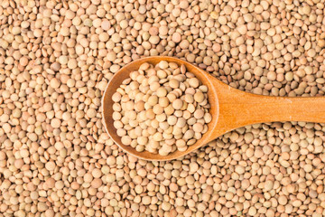 raw lentils on white, top view