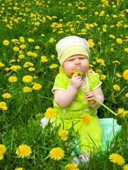 child of dandelions