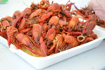 Eaten crawfish  remains