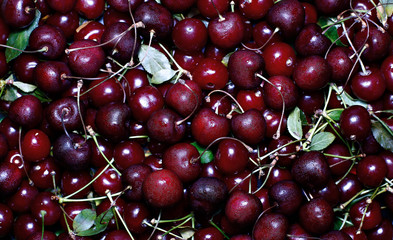 Red ripe cherry berries