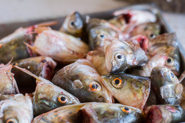 Heads of fish in a cup, carp fish heads for fish soup.