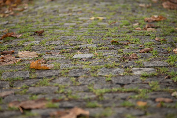 Old Gray Cobbled Stones Road closeup view