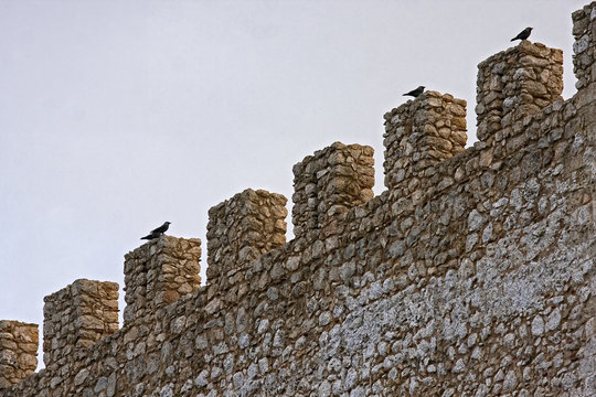 Birds in the battlements of a castle. Sicily, Italy