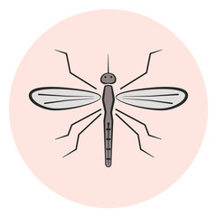 Outline mosquito vector icon, colored gray gnat icon