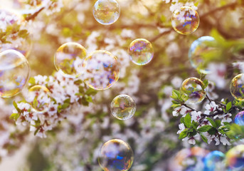 bright festive background with flying shiny soap bubbles over the spring blooming garden