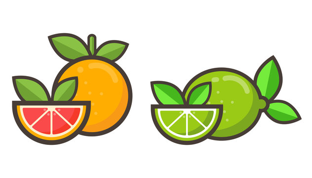 cartoon grapefruit and lime vector